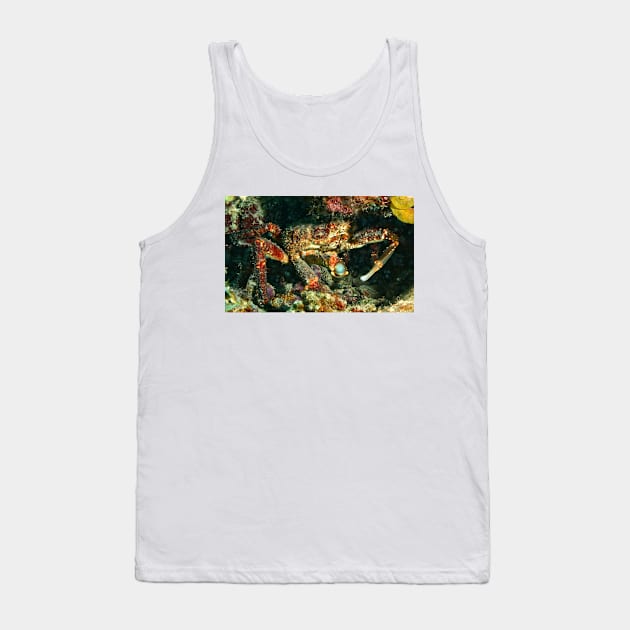 Caribbean King Crab Tank Top by Scubagirlamy